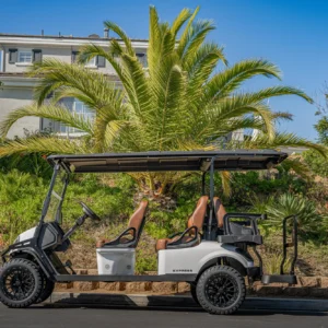 6 Person Street Legal Golf Cart (LSV) Rental – Virginia Beach, Virginia 6 Person Street Legal Golf Cart (LSV) Rental – Virginia Beach, Virginia