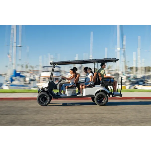 4 & 6 Person Street Legal Golf Cart (LSV) – Cape Charles, Virginia